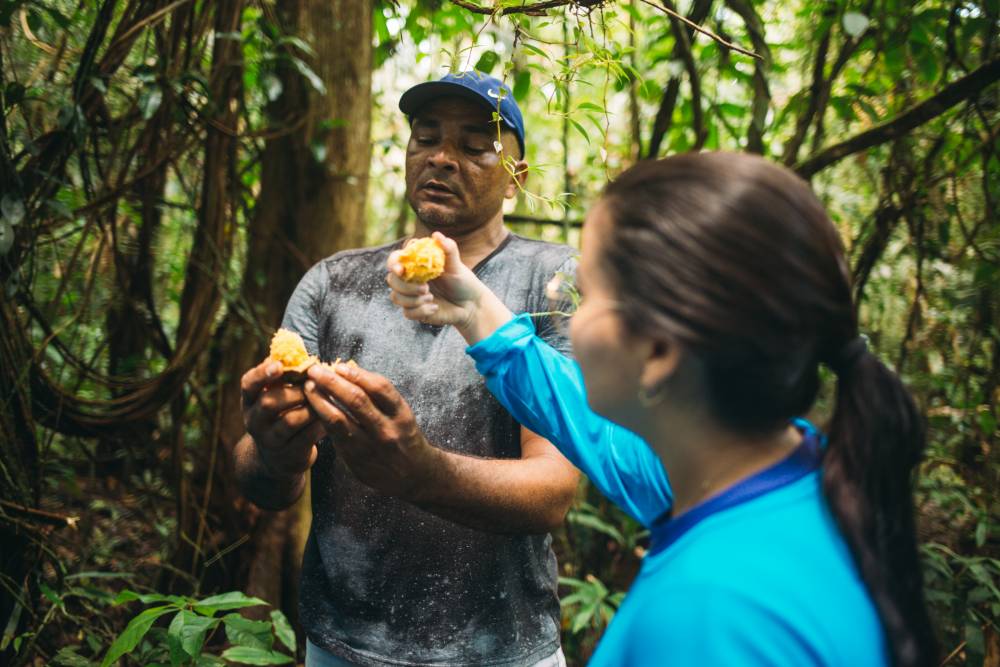 Fundo de Sustentabilidade Hydro firma parcerias com USAID e PPA Solidariedade para fortalecer iniciativas na Amazônia