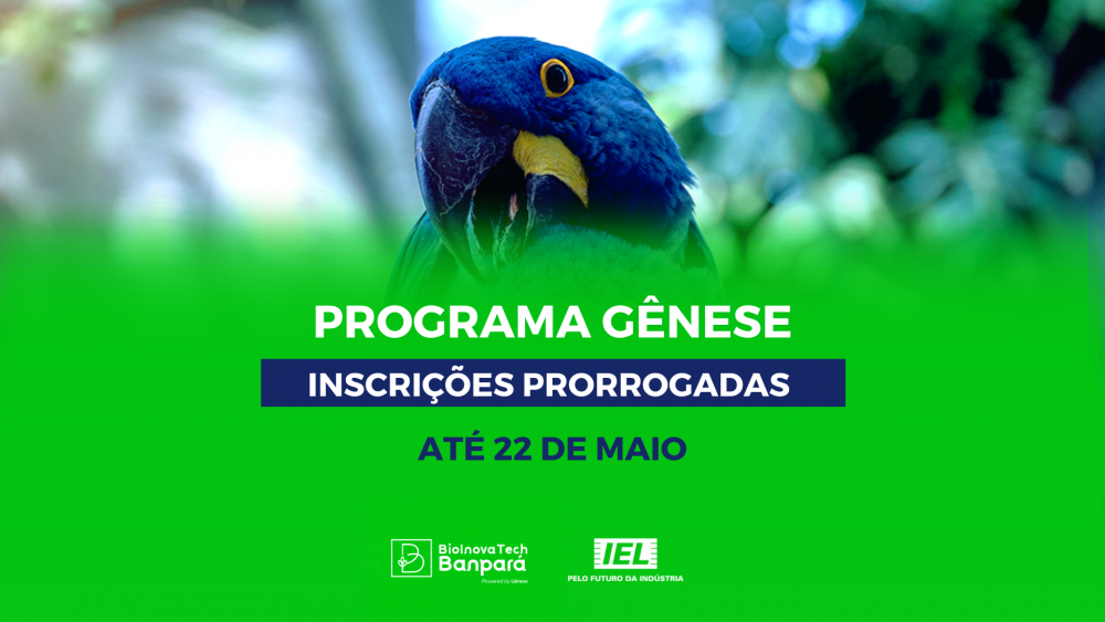 Programa para formação empreendedora no Pará prorroga inscrições