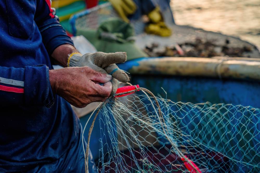 No Pará, indústria da pesca relata graves problemas e baixa competitividade do setor
